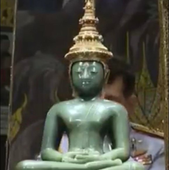 Meet your Posher, Toetoe - Picture 1 of 1